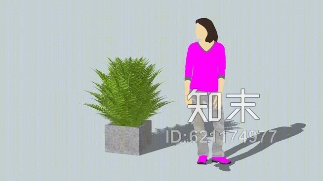 蕨、肾蕨、saniainenSU模型下载【ID:621174977】