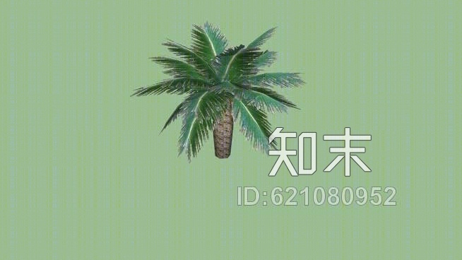 苏铁SU模型下载【ID:621080952】