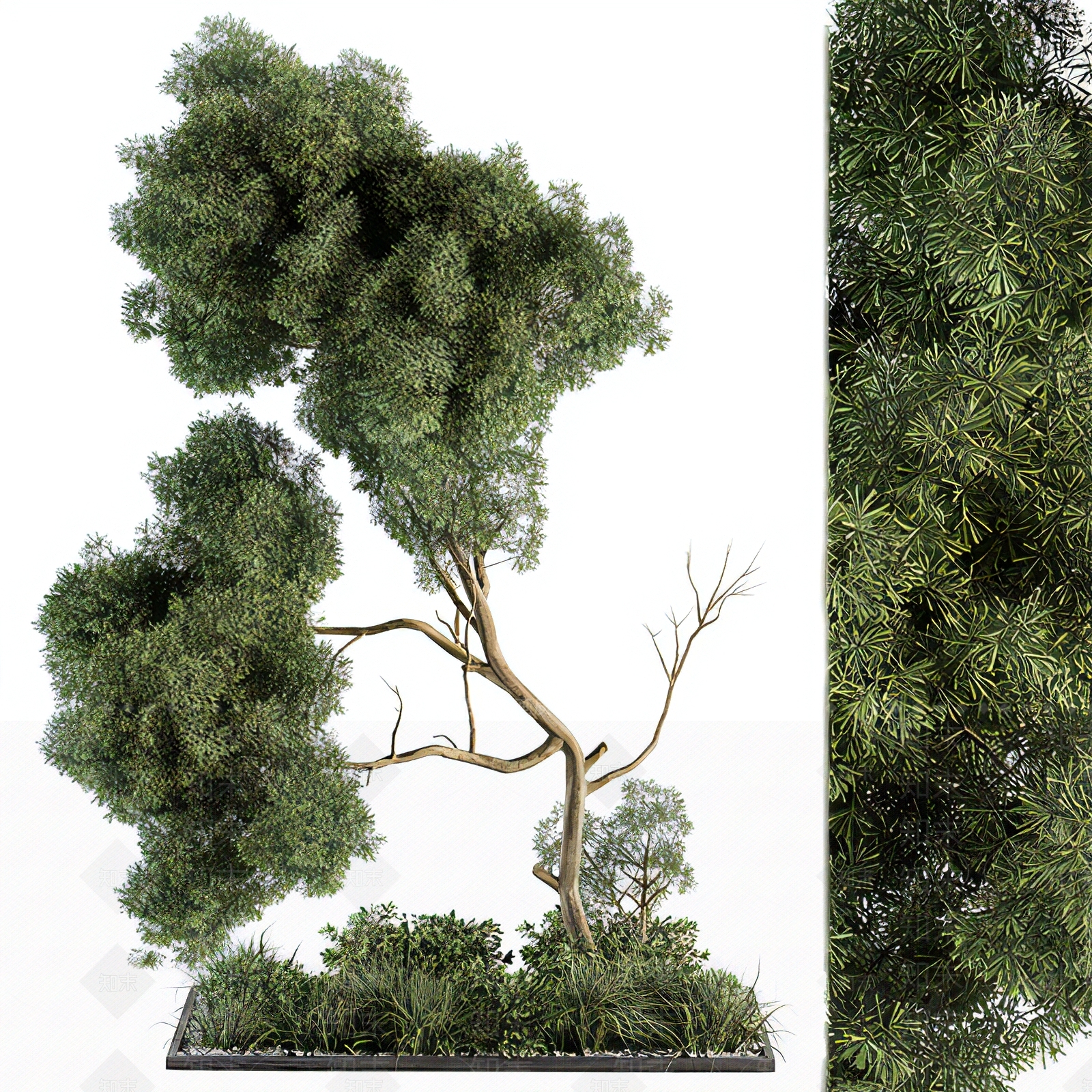 乔木3D模型下载【ID:1114777144】