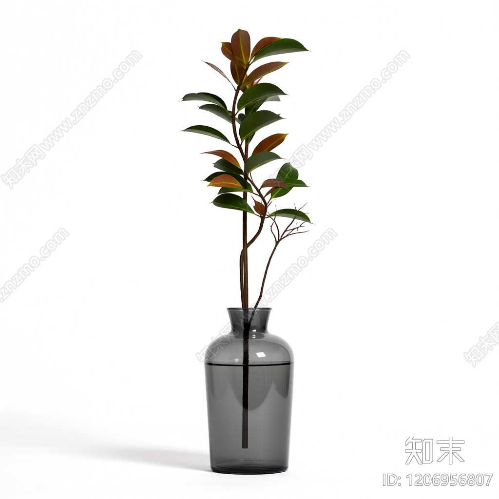 盆栽植物带花瓶3D模型下载【ID:1206956807】