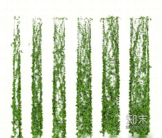 现代绿植藤蔓组合3D模型下载【ID:43911525】