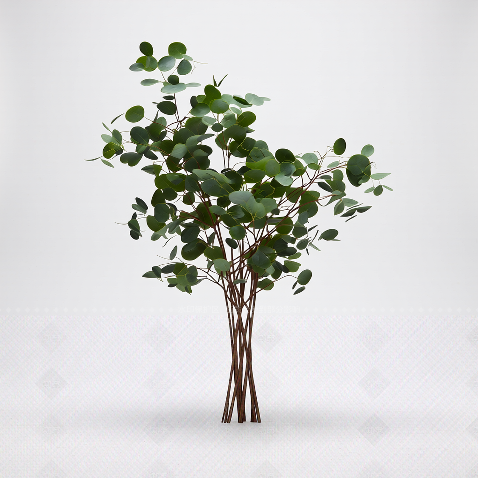 圆形叶植物模型3D模型下载【ID:1206192185】