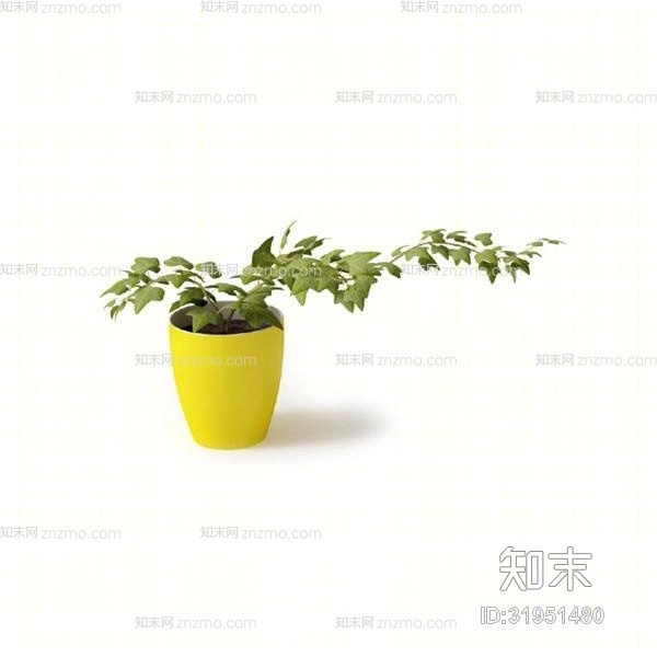 绿色盆栽3D模型下载【ID:31951480】