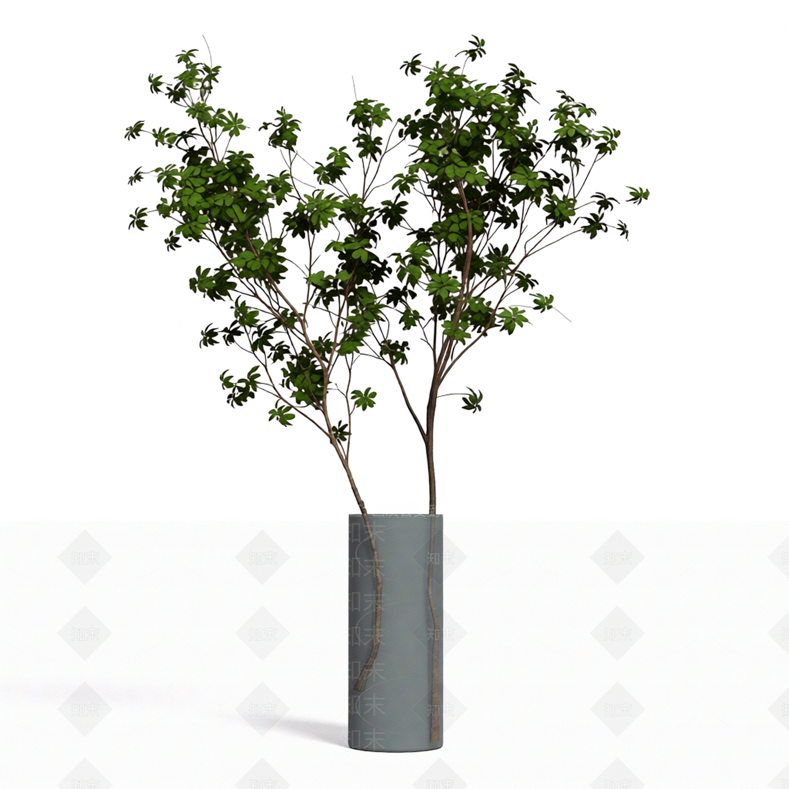 透明盆绿植盆栽3D模型下载【ID:1206205343】