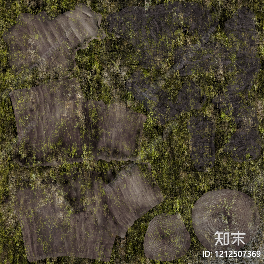 年轮贴图下载【ID:1212507369】