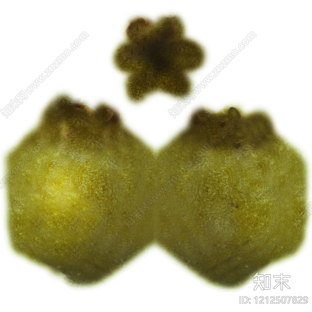 苔藓纹理贴图下载【ID:1212507829】