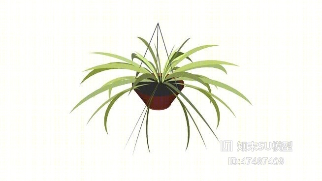 盆栽SU模型下载【ID:118053815】