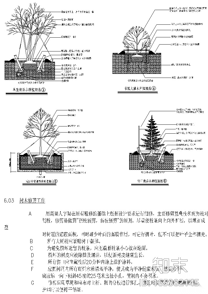 [上海]泰禾院子示范区植物配置CAD施工图施工图下载【ID:165382145】