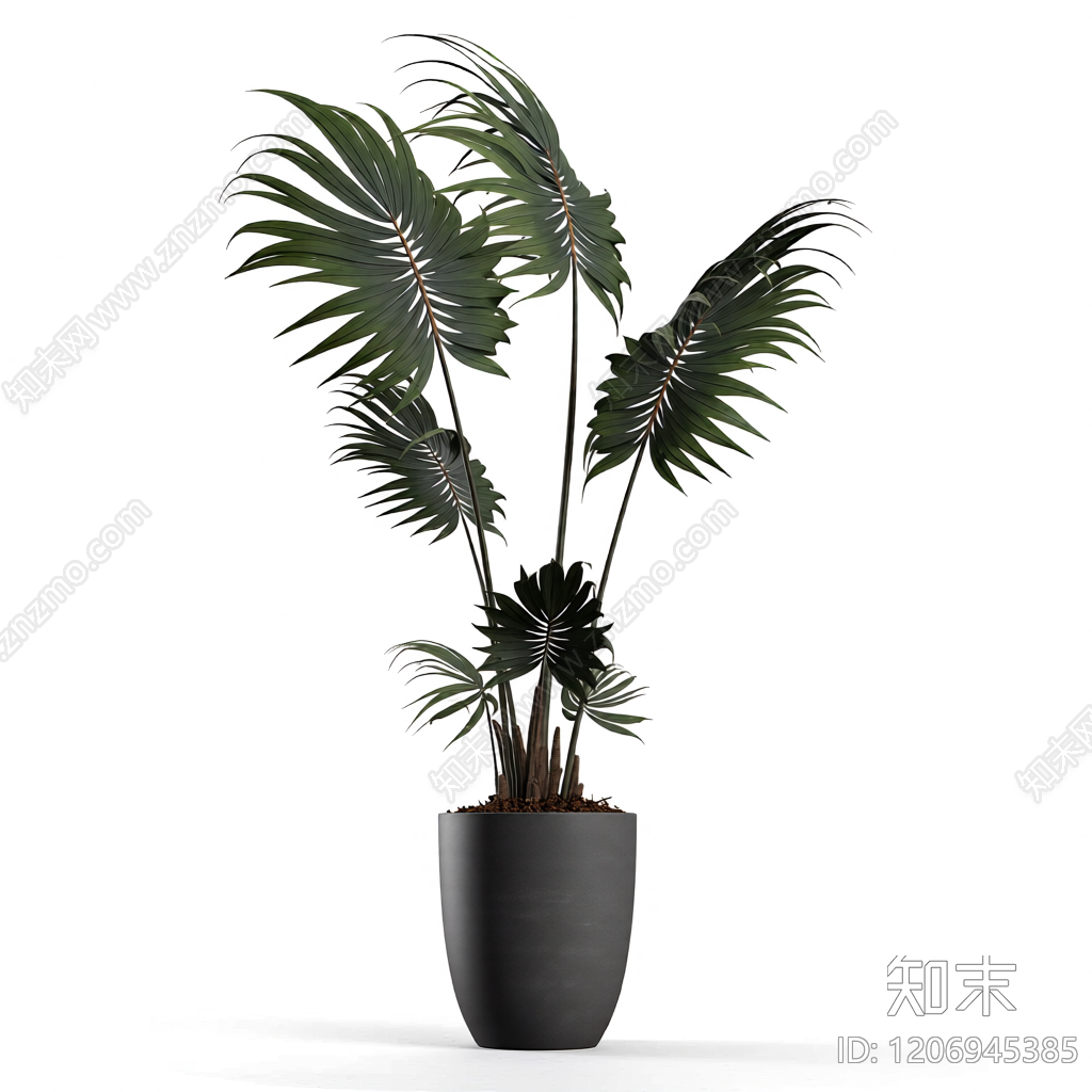 盆栽植物装饰3D模型下载【ID:1206945385】