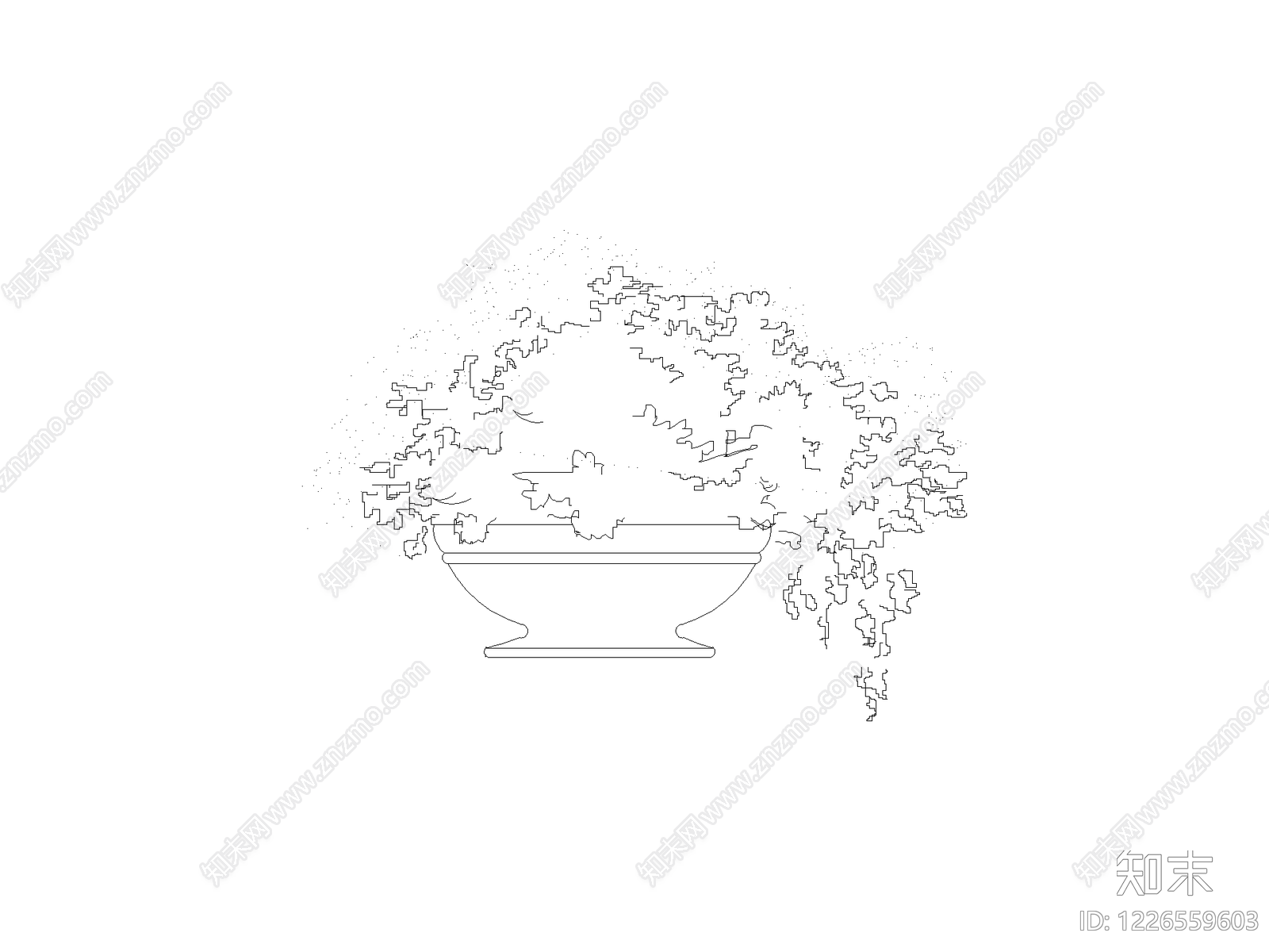 现代乔木种植CAD图纸