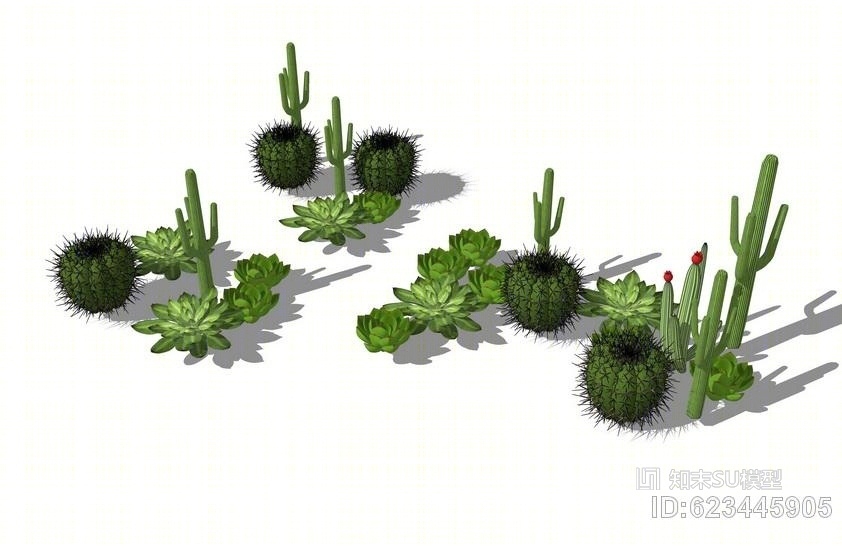 仙人掌仙人球多肉植物组合SU模型下载【ID:623445905】