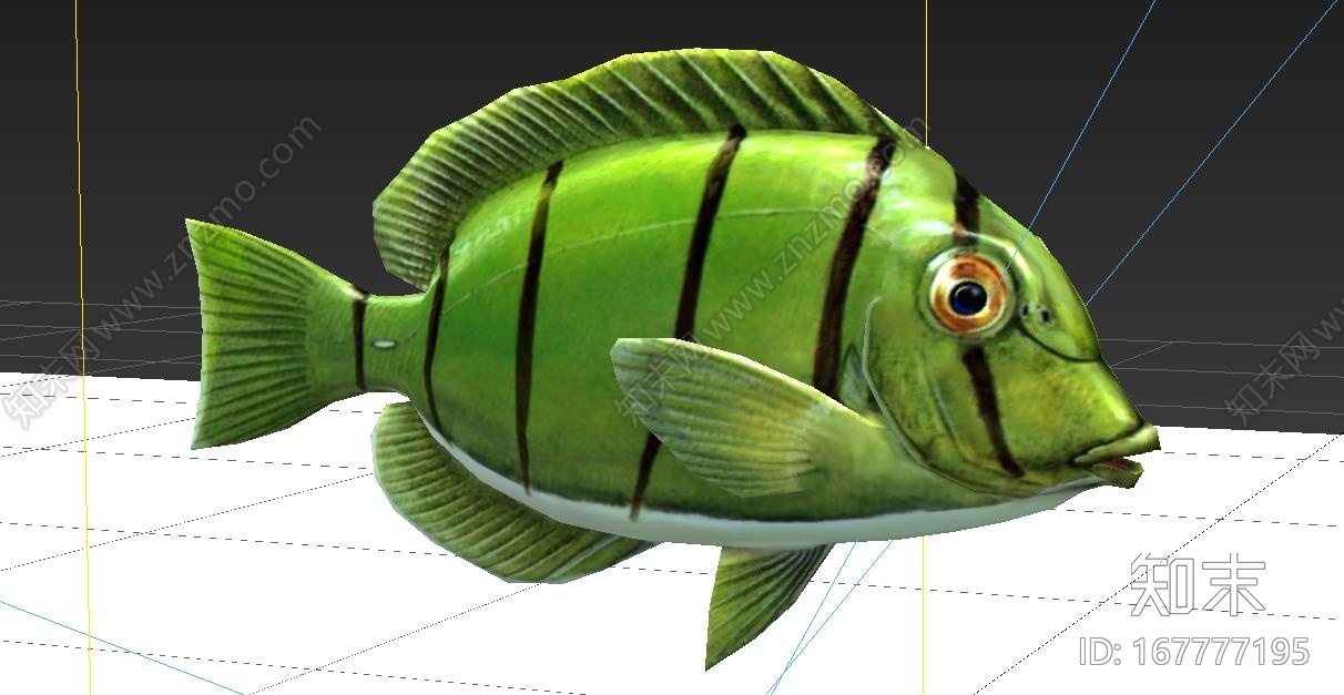写实刺尾鱼深海鱼CG模型下载【ID:167777195】