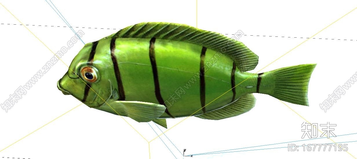 写实刺尾鱼深海鱼CG模型下载【ID:167777195】
