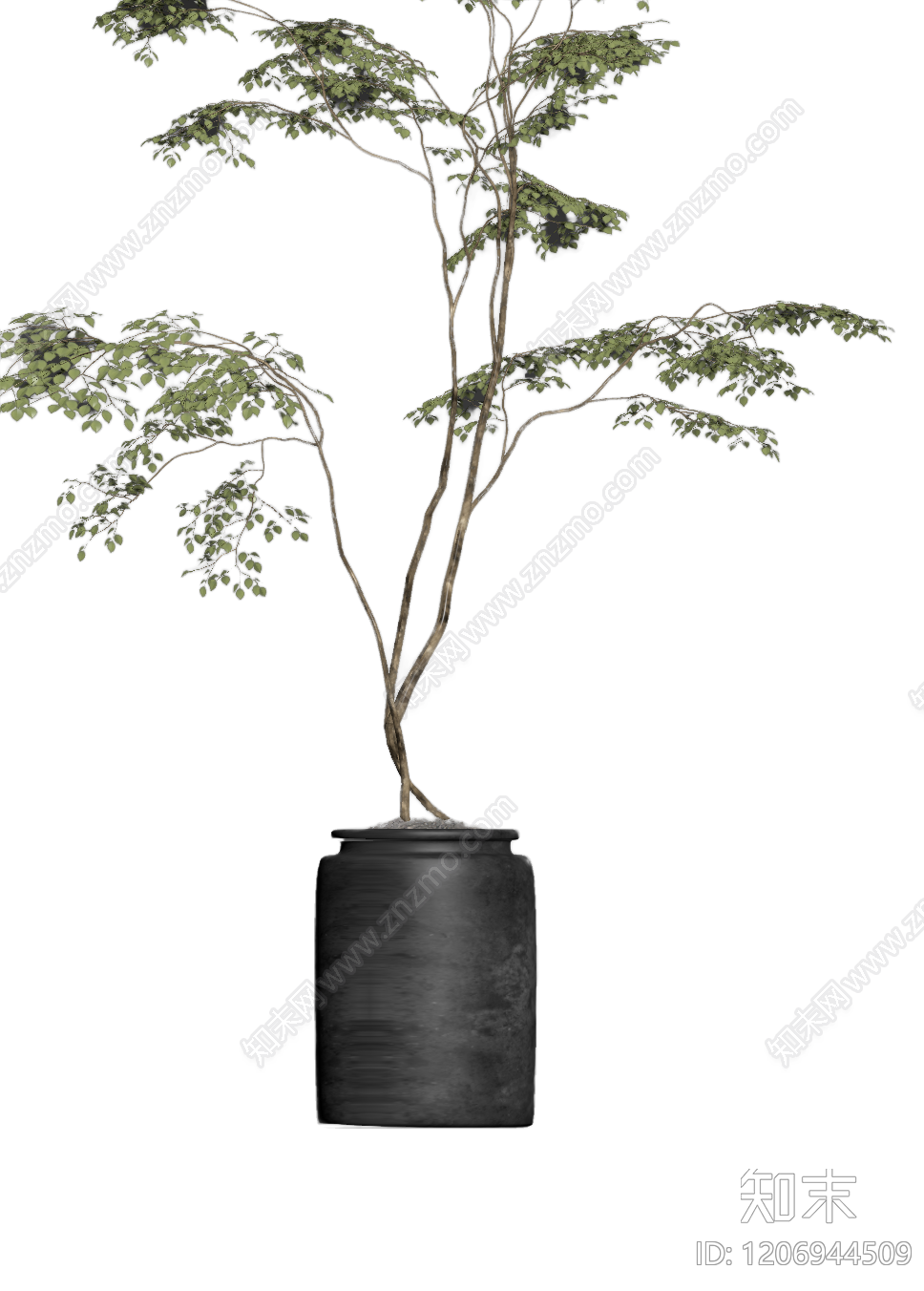 盆栽植物装饰3D模型下载【ID:1206944509】