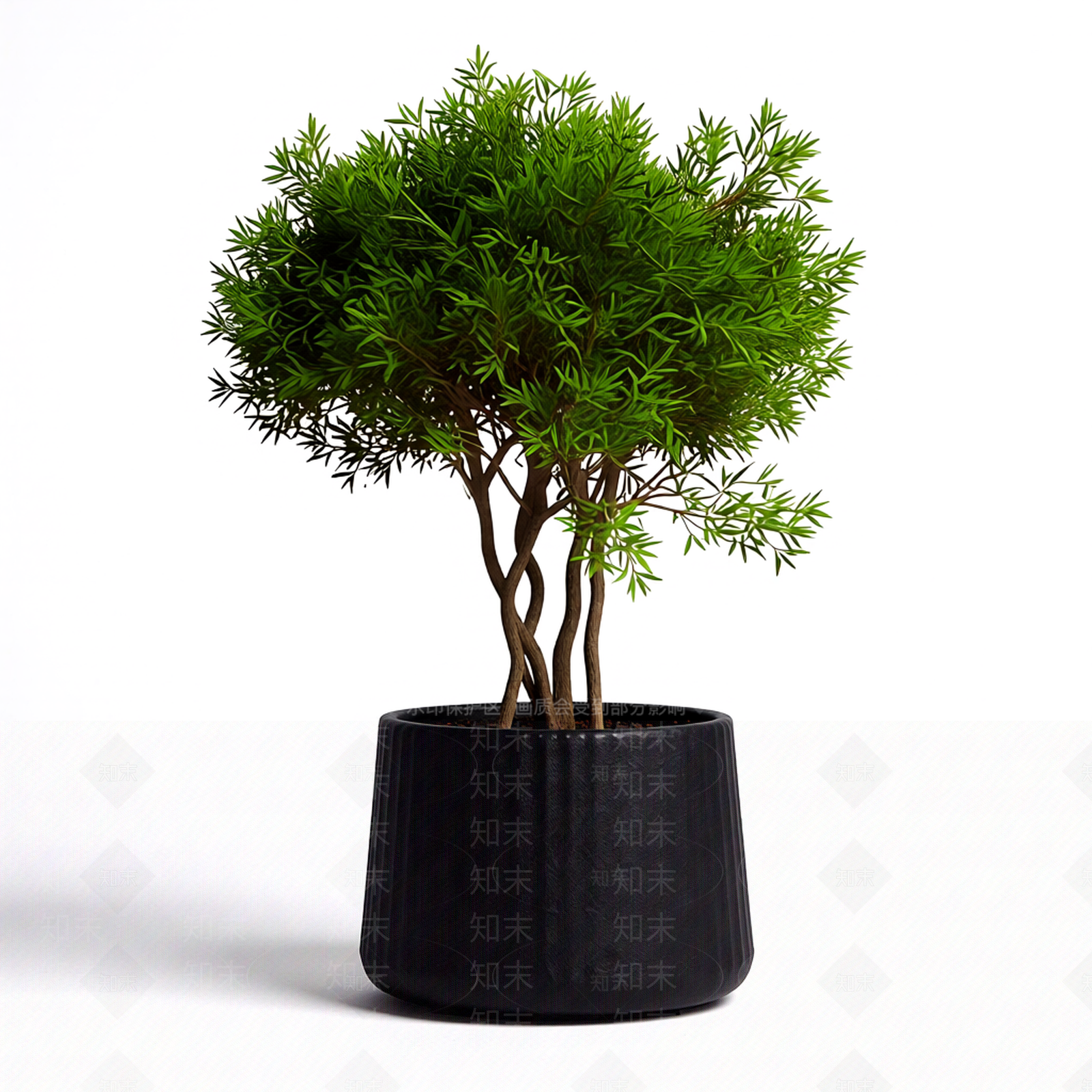 带盆完整盆栽3D模型下载【ID:1206188697】