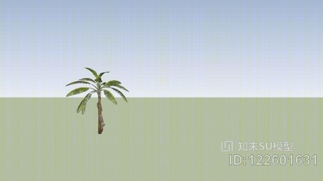 香蕉树SU模型下载【ID:122601631】