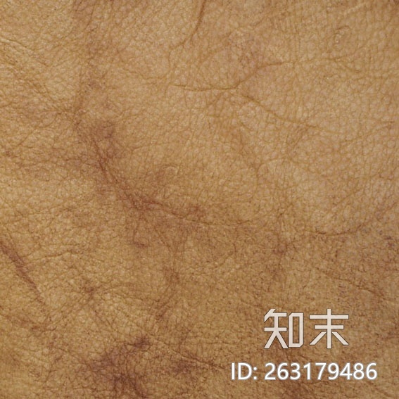 皮质粗纹贴图下载【ID:263179486】