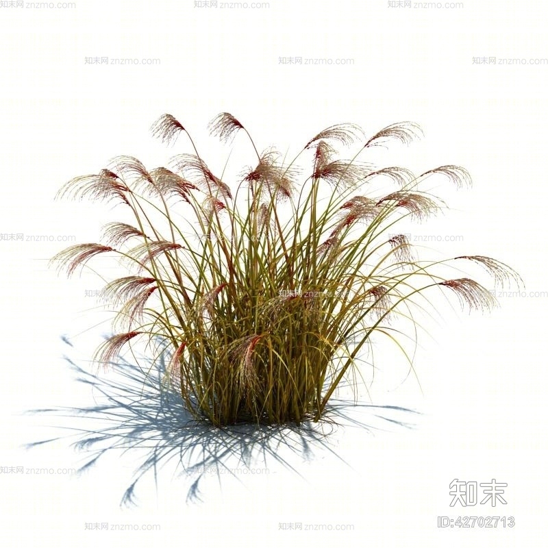 褐色草3D模型下载【ID:42702713】
