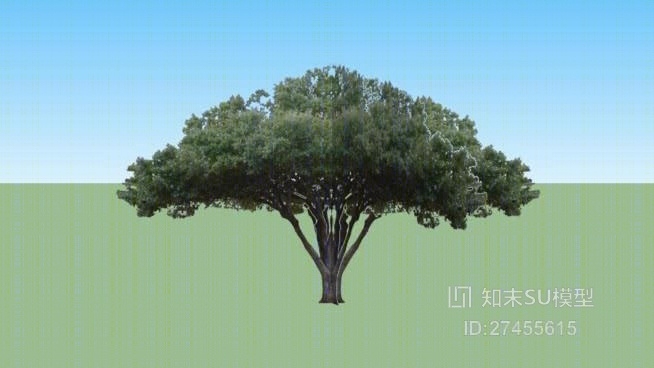 树SU模型下载【ID:118003652】