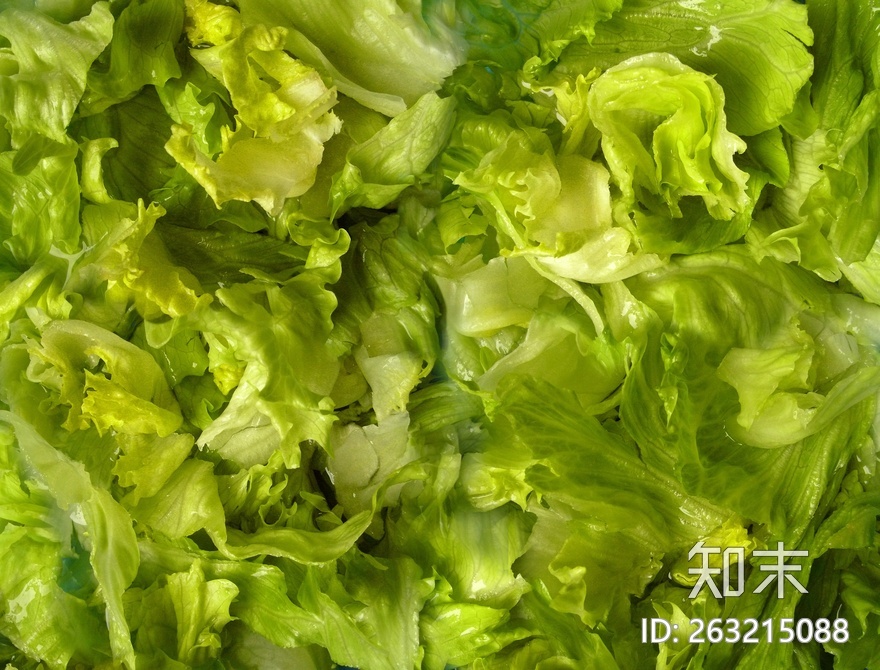 食物贴图下载【ID:263215088】