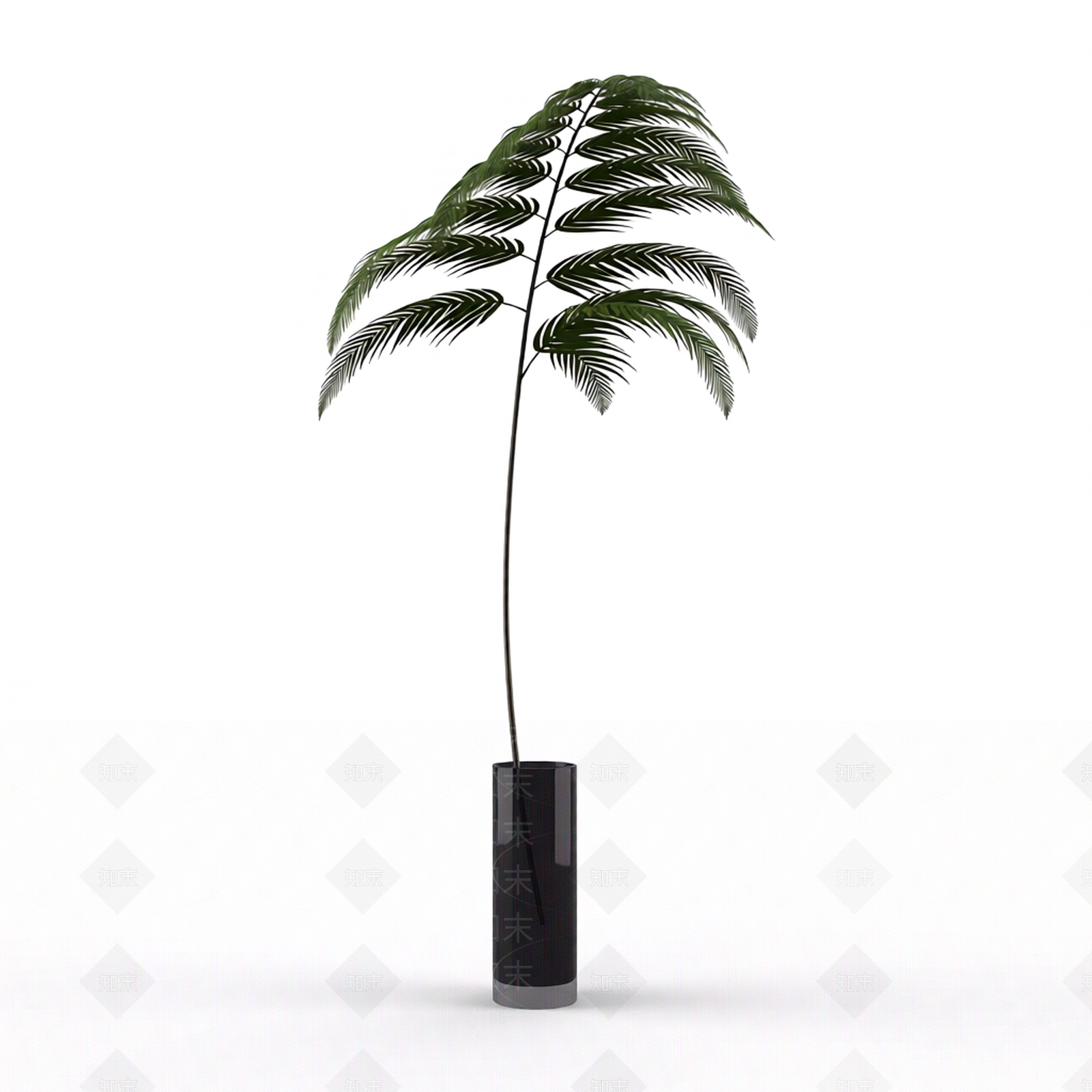 带盆绿植盆栽3D模型下载【ID:1206189653】