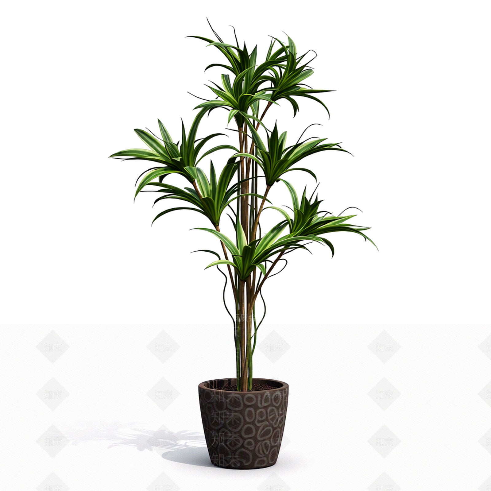 带花纹花盆的盆栽3D模型下载【ID:1206187619】