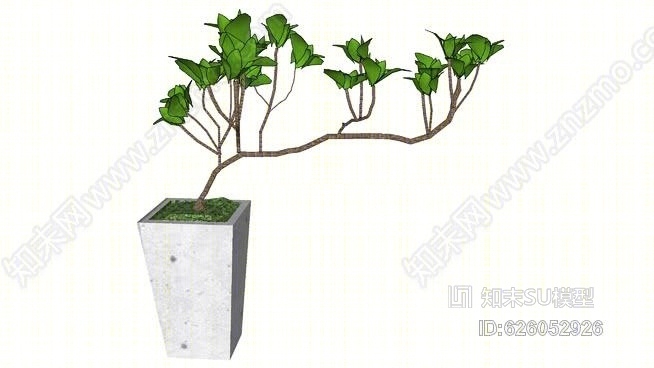 植物SU模型下载【ID:626052926】