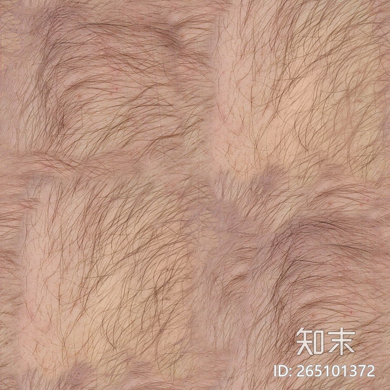 皮肤贴图下载【ID:265101372】