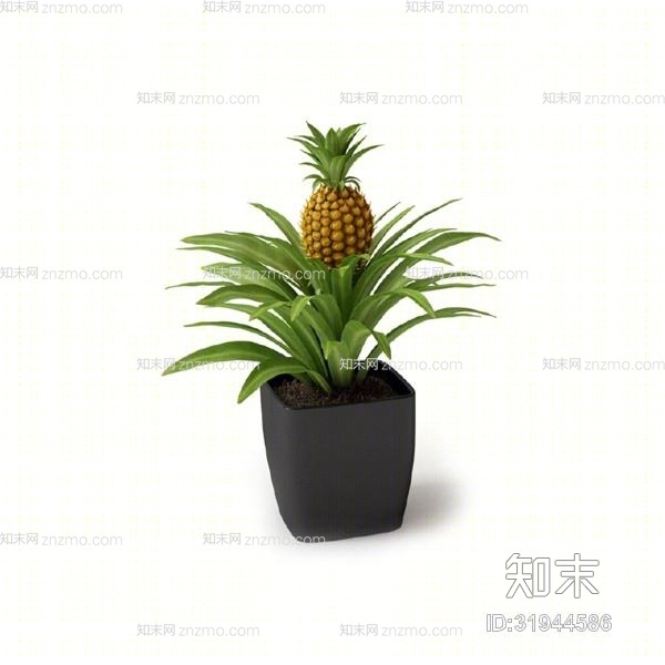 绿色盆栽3D模型下载【ID:31944586】