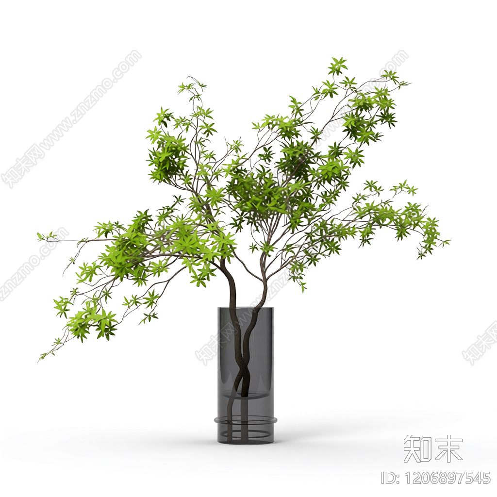 盆栽植物装饰3D模型下载【ID:1206897545】