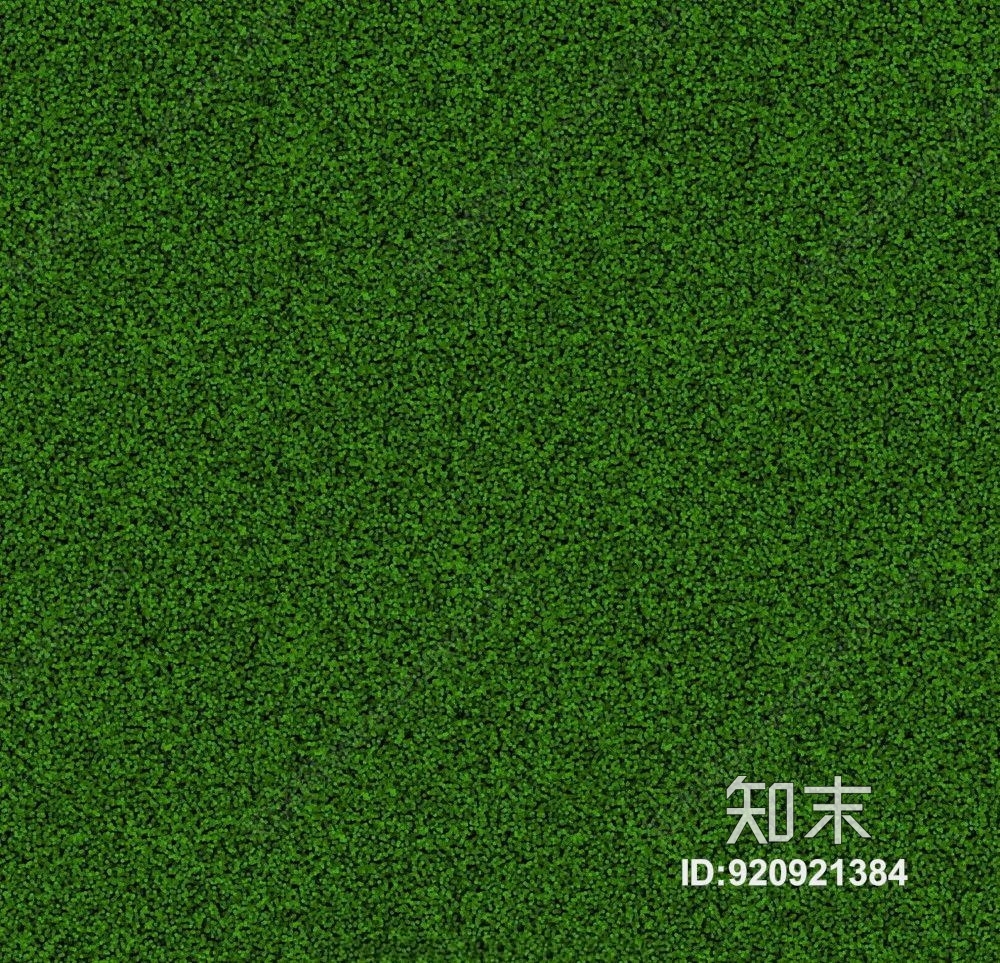 草地贴图下载【ID:920921384】_草地材质贴图免费下载【知末网贴图库】