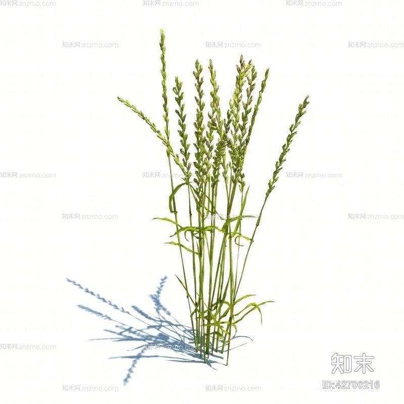 绿色草3D模型下载【ID:42700216】