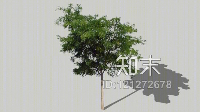 光树020SU模型下载【ID:121272678】