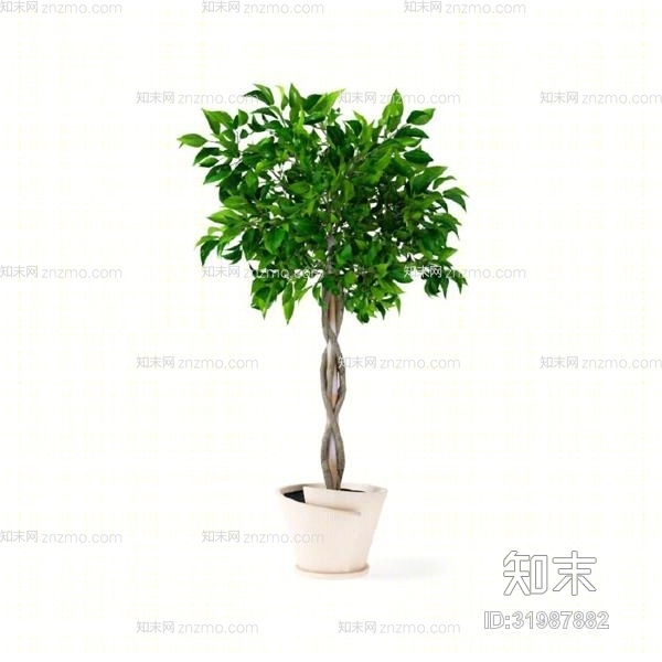 绿色盆栽3D模型下载【ID:31987882】