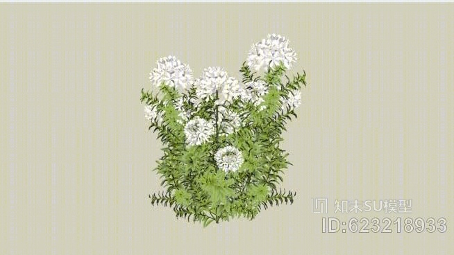 龙船花属SU模型下载【ID:623218933】