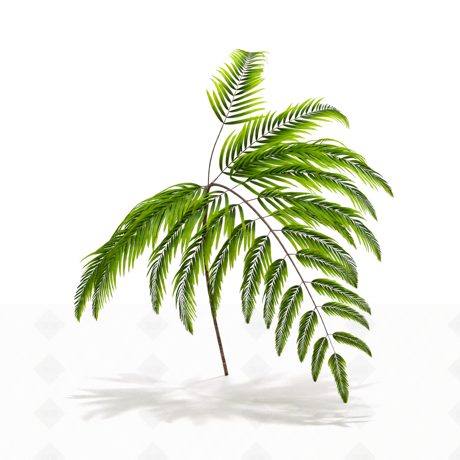 绿色枝叶植物模型3D模型下载【ID:1206189674】