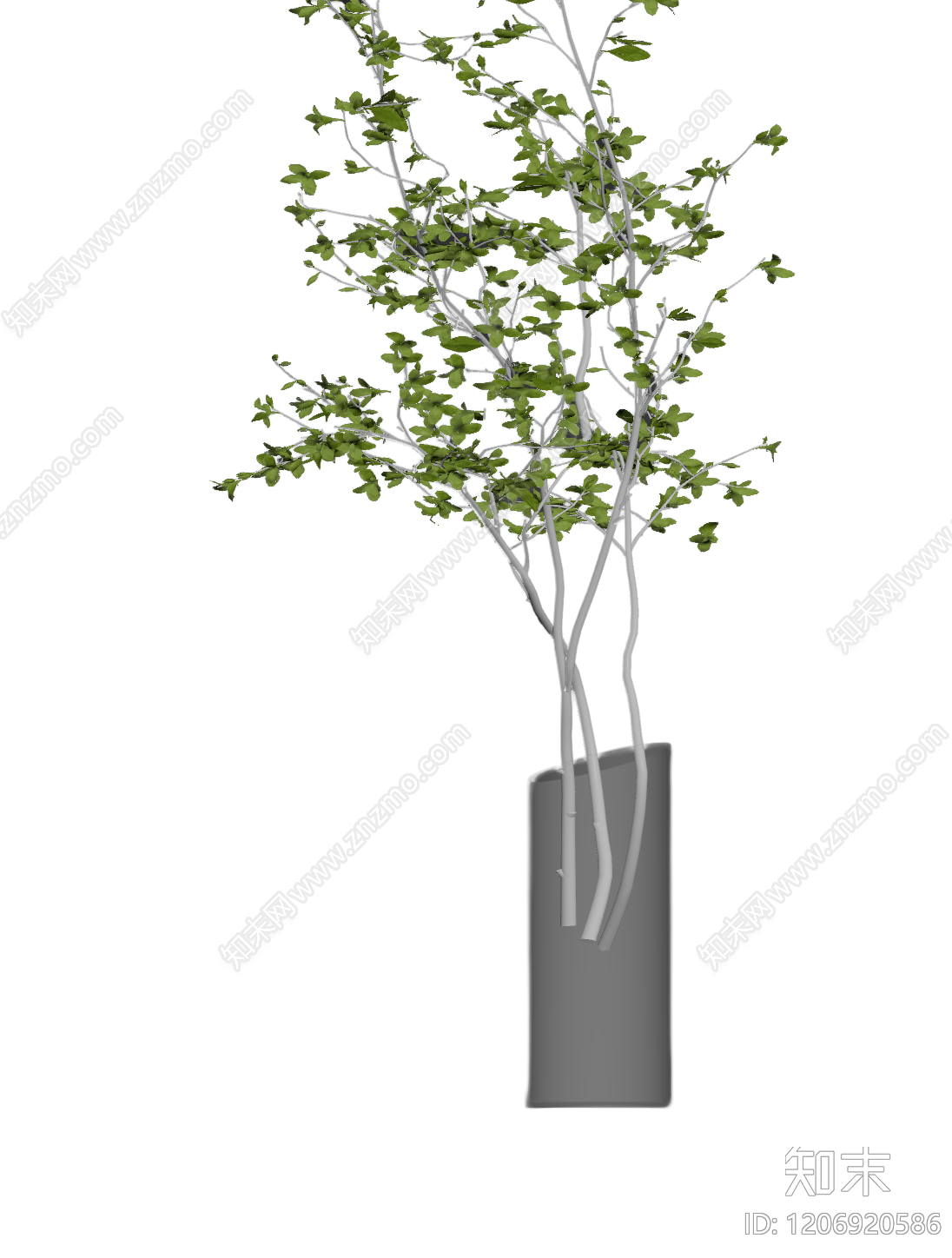 盆栽植物装饰3D模型下载【ID:1206920586】