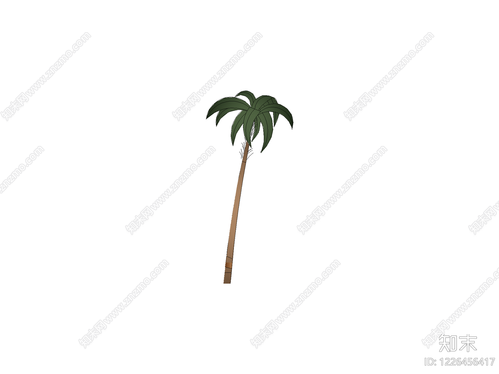 乔木种植CAD图纸