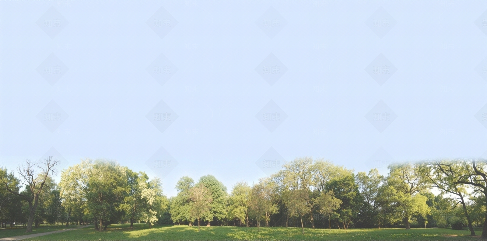 外景，树，窗外树林贴图下载【ID:1195306123】