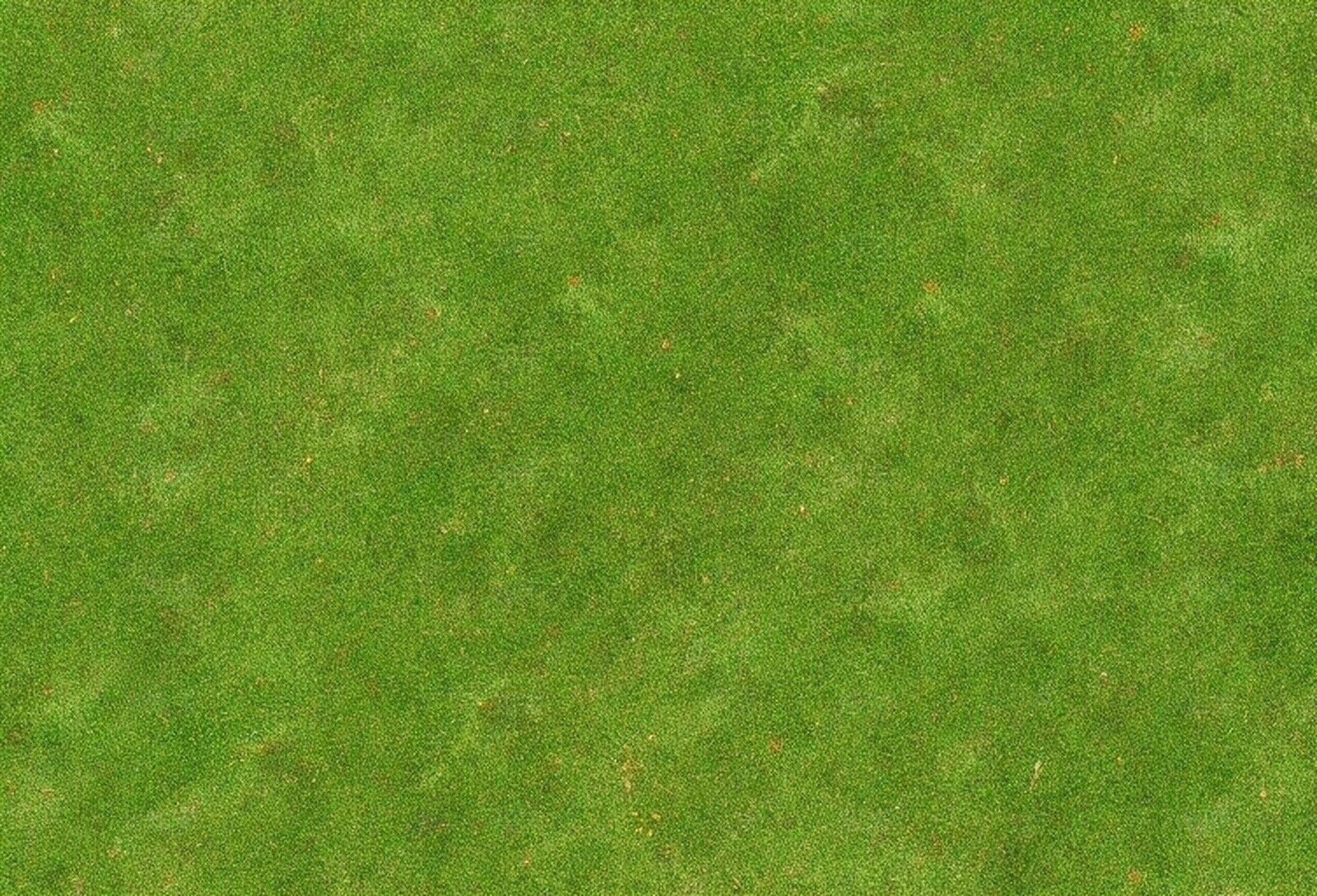 草地贴图下载【ID:1195339132】