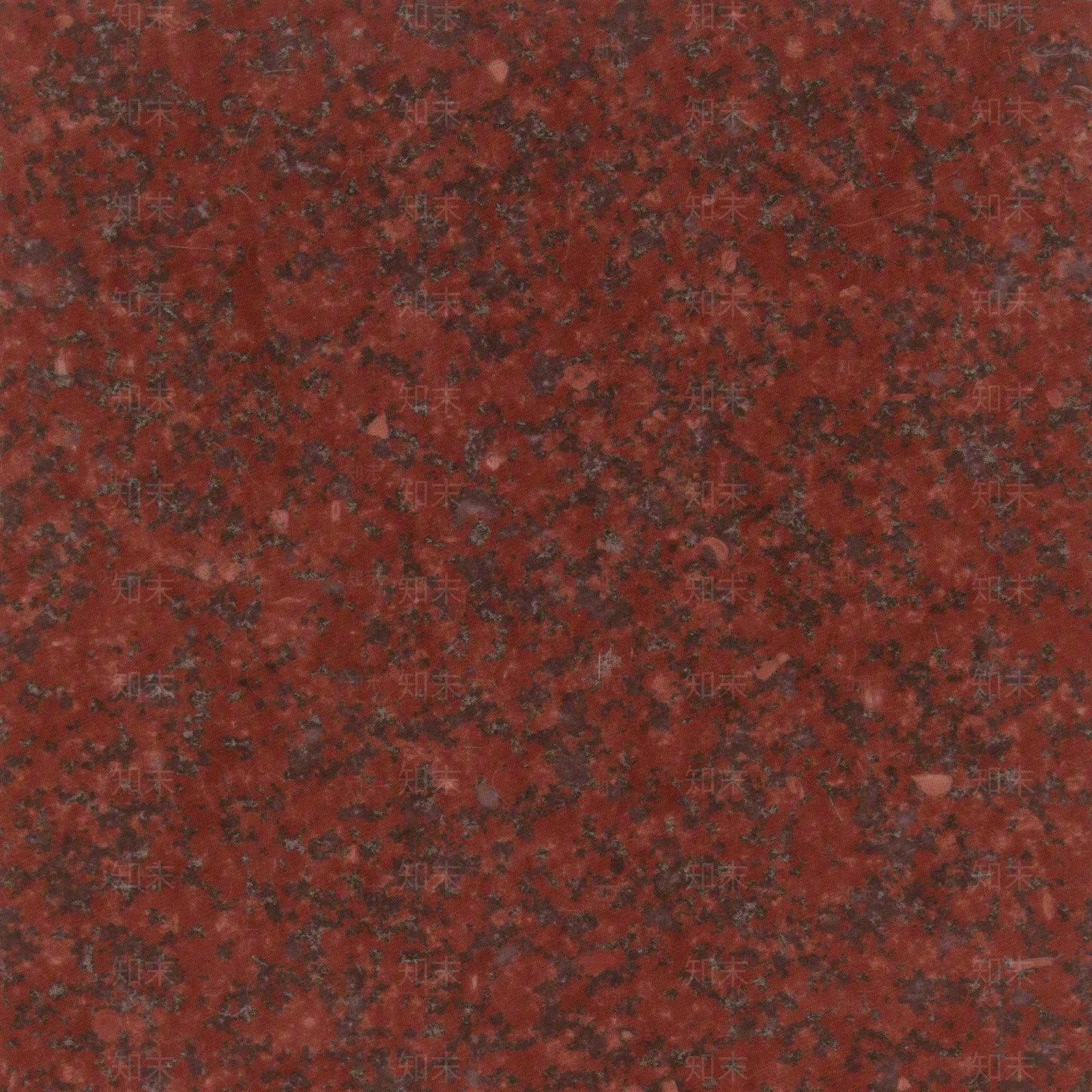 大花印度红贴图下载【ID:1195310755】