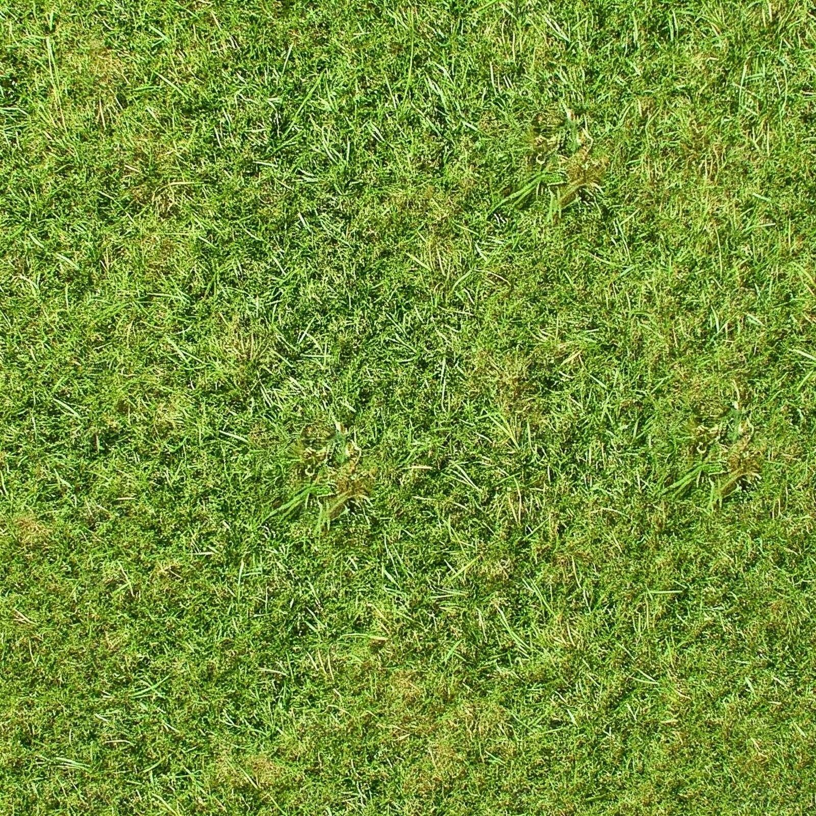 草坪贴图下载【ID:1195320259】