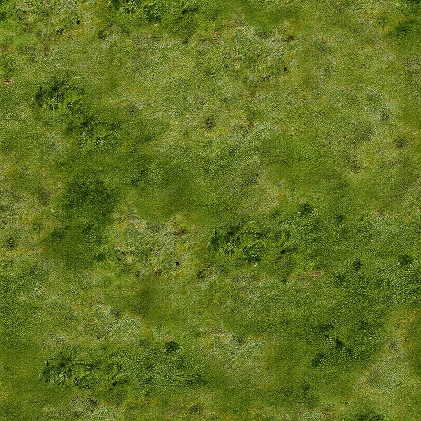 草地草坪贴图贴图下载【ID:1195320982】