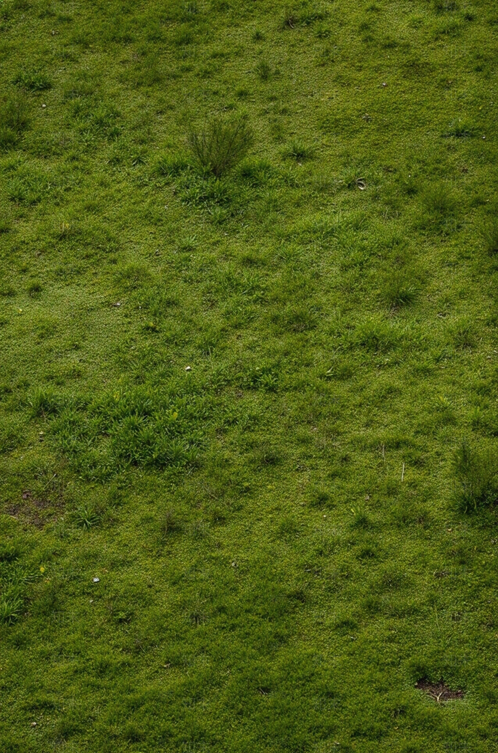 地面草坪绿地贴图下载【ID:1195330592】