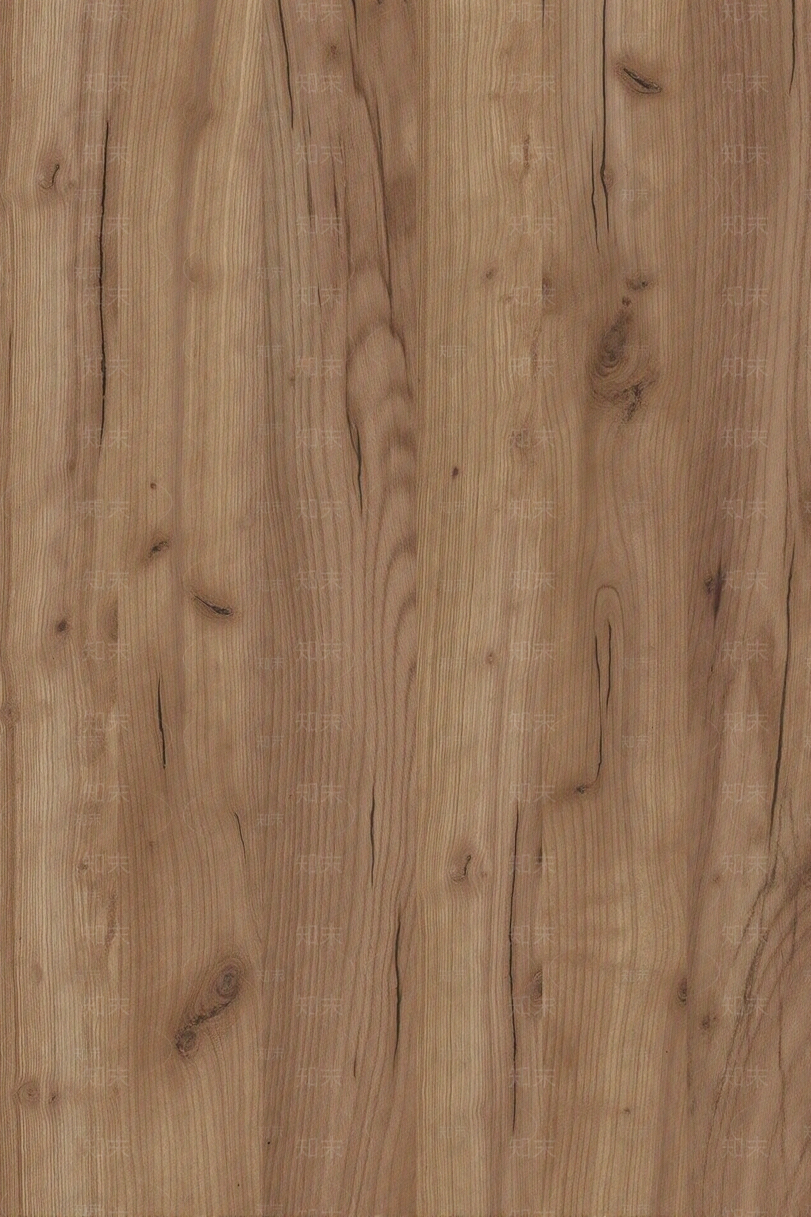 高清原木纹理贴图下载【ID:1195342478】