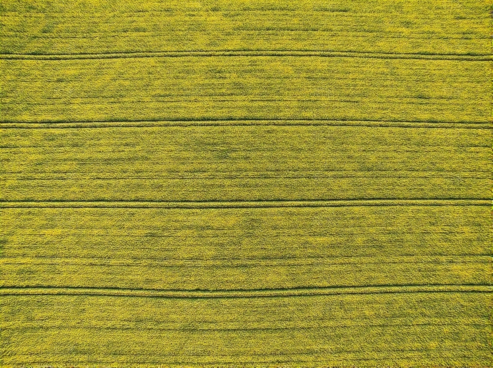 乡村农田贴图下载【ID:1195336350】