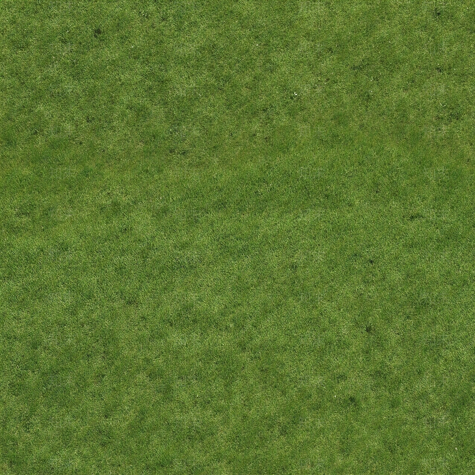 绿草地贴图贴图下载【ID:1195321402】