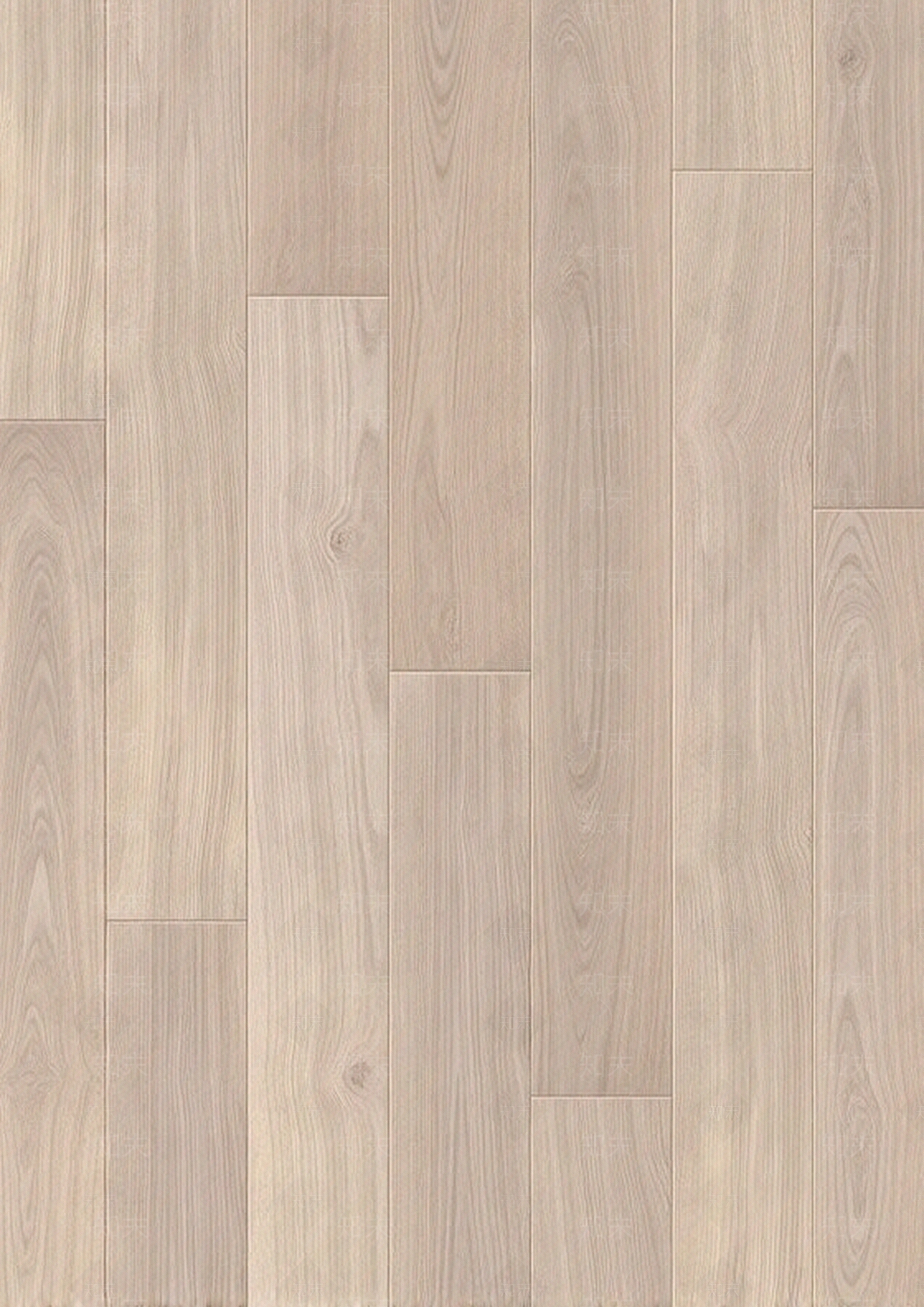 浅色木地板贴图下载【ID:1195325824】