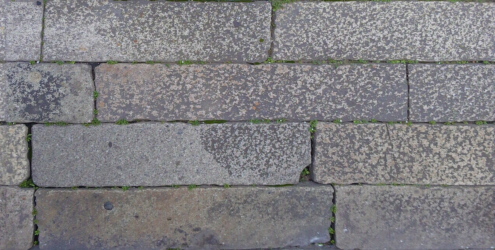 灰色水泥透水砖贴图下载【ID:1195326336】