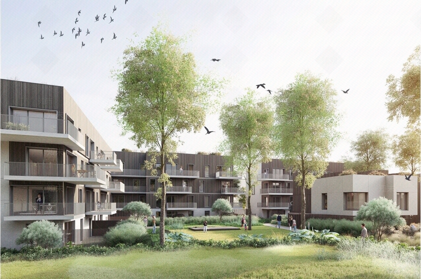 白天小区外景贴图下载【ID:1195344703】